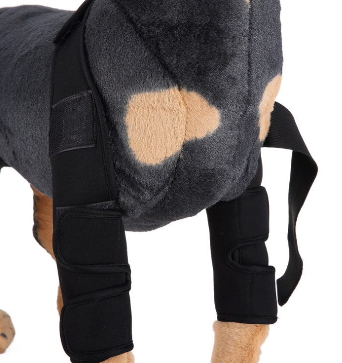 Dog Knee Brace & Leg Protector for Recovery