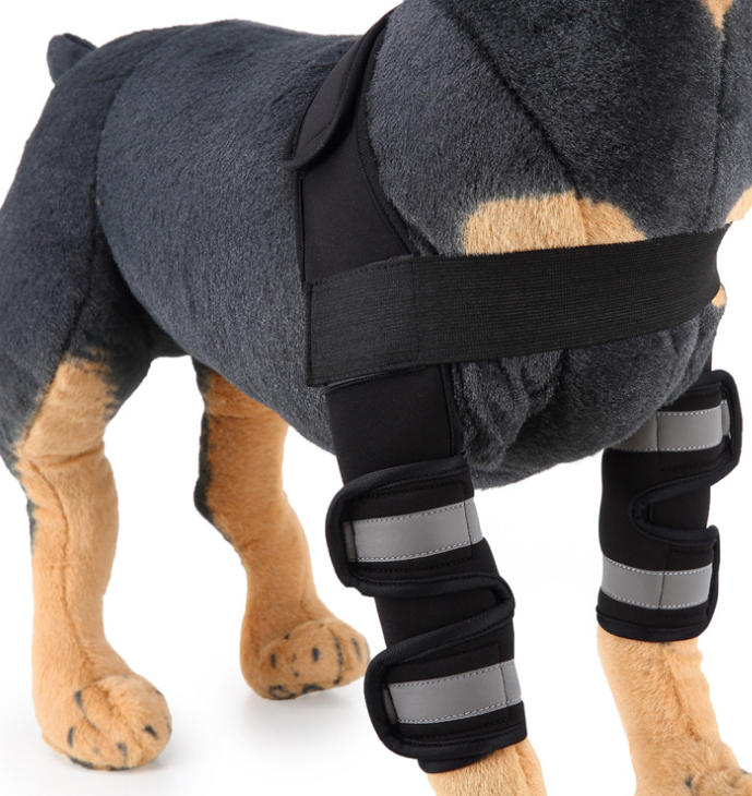 Dog Knee Brace & Leg Protector for Recovery