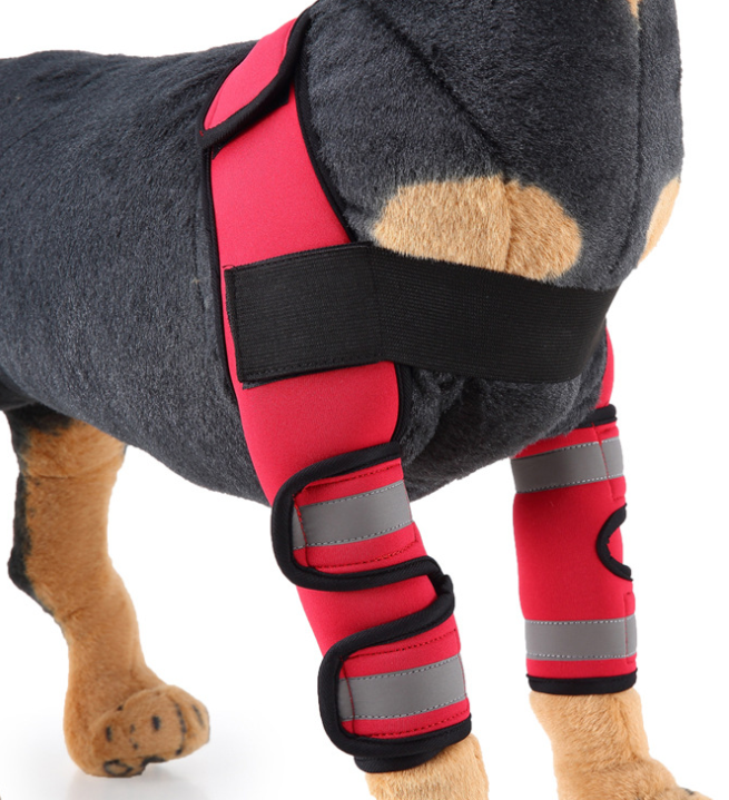 Dog Knee Brace & Leg Protector for Recovery