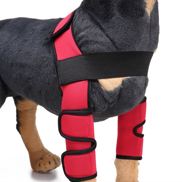 Dog Knee Brace & Leg Protector for Recovery