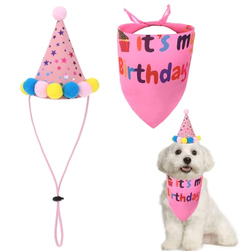 Dog Birthday Bandana & Hat Party Set