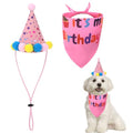 Dog Birthday Bandana & Hat Party Set