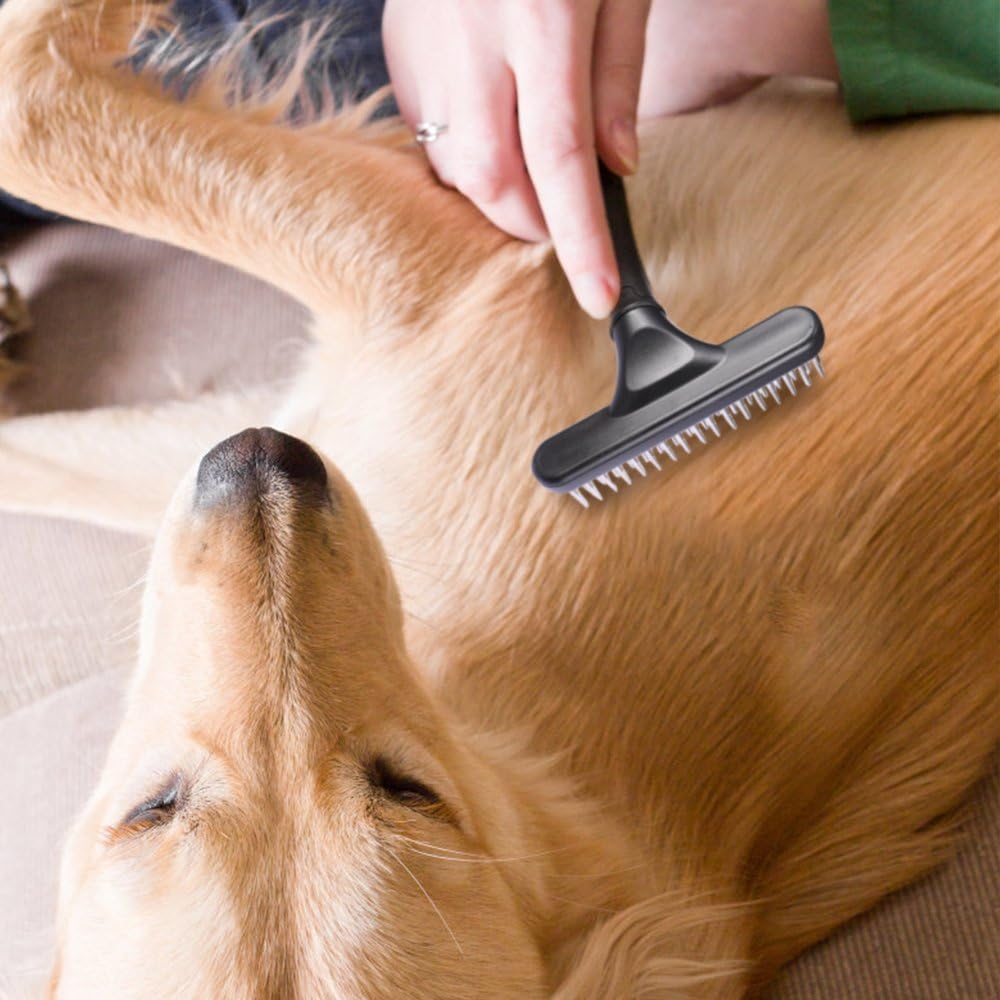 Double-Row Pin Pet Grooming Rake