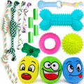 Loncoldy 16-Pack Puppy Teething & Chew Toys