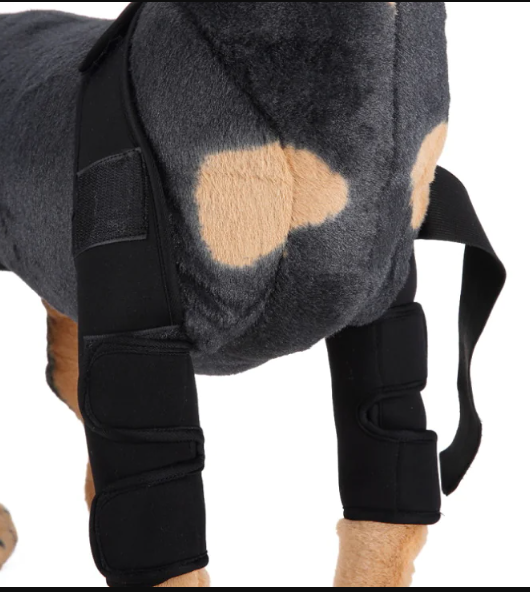 Dog Knee Brace & Leg Protector for Recovery