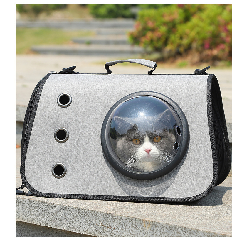 Foldable Cat Backpack with Breathable Mesh