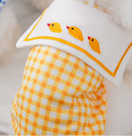 Pet Shirt for Small & Medium Dogs and Cats