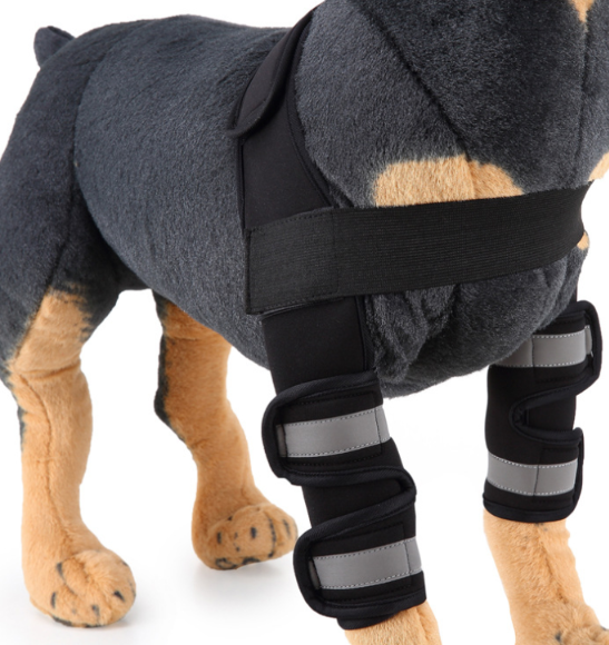 Dog Knee Brace & Leg Protector for Recovery